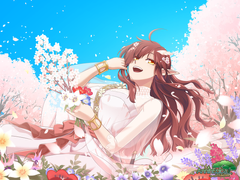 春・夏・秋・冬