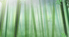 背景
