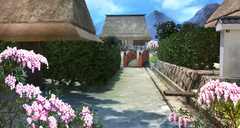 背景