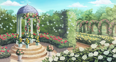 背景